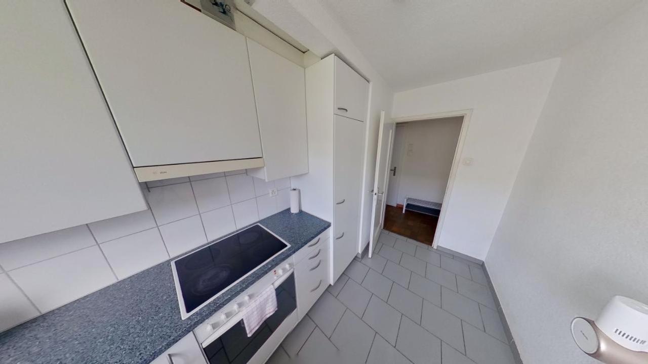 Apartmán Duebendorfstrasse 171 Curych Exteriér fotografie